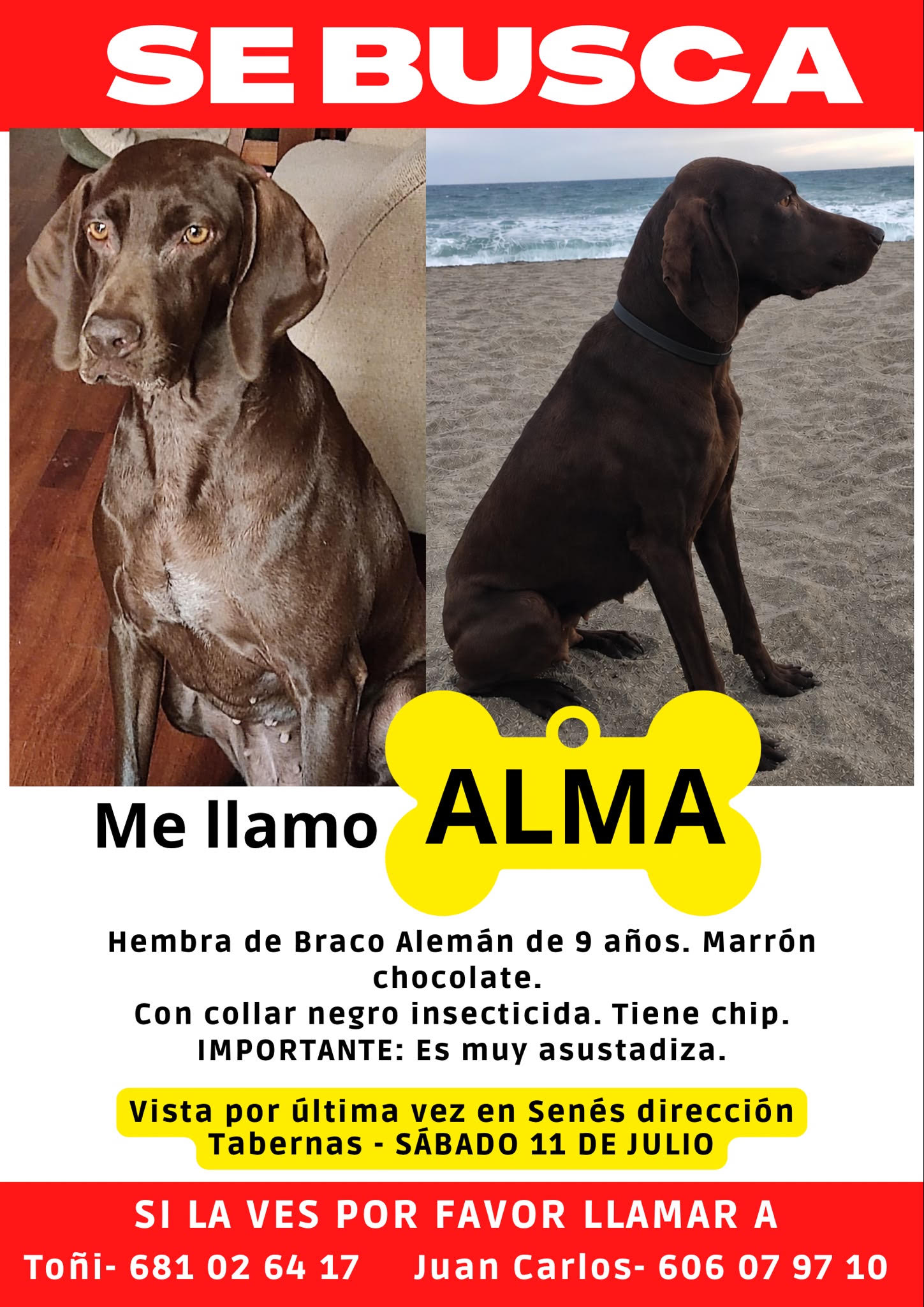 Ver imagen